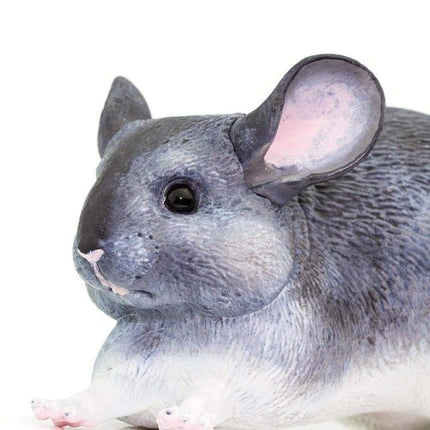 IC Chinchilla XXX