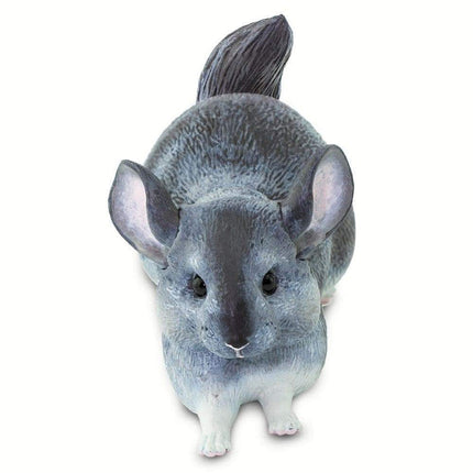 IC Chinchilla XXX