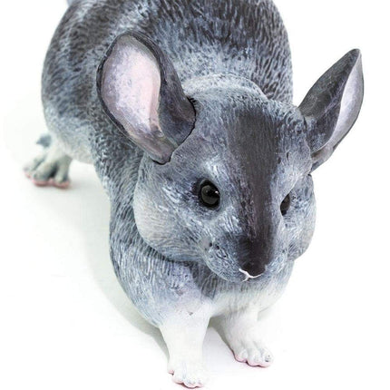 IC Chinchilla XXX