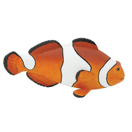 IC Clown Anemonefish