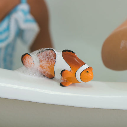 IC Clown Anemonefish