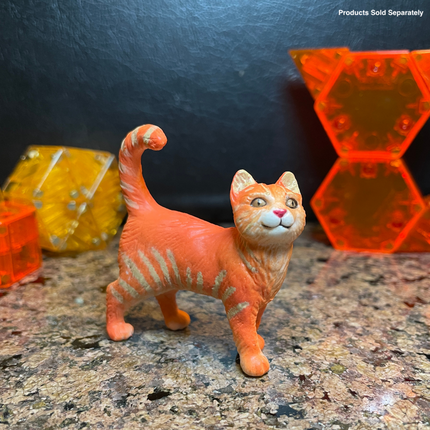 WSP Tabby Cat (Orange)