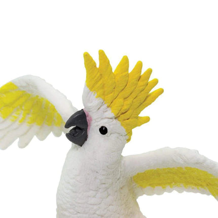 WSB Cockatoo