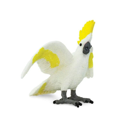 WSB Cockatoo