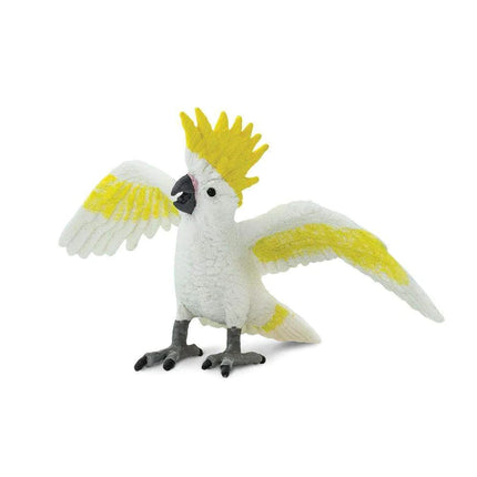 WSB Cockatoo