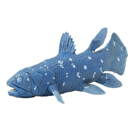 WSD Coelacanth