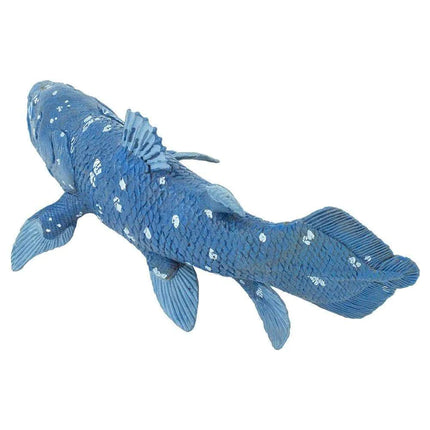 WSD Coelacanth