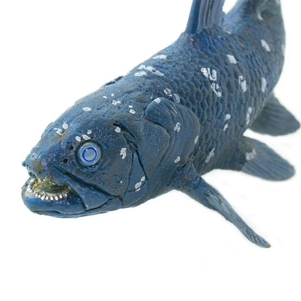 WSD Coelacanth