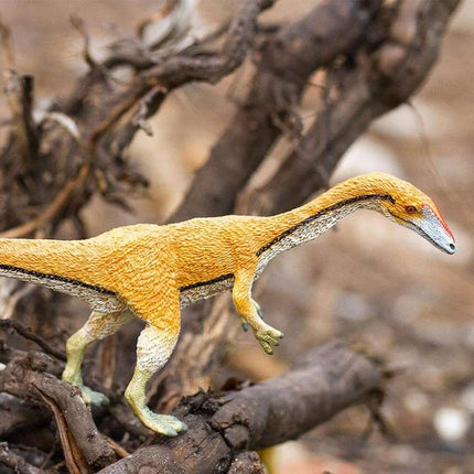 WSD Coelophysis