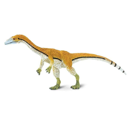 WSD Coelophysis