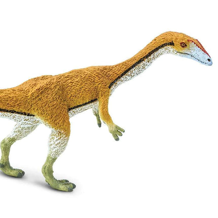 WSD Coelophysis