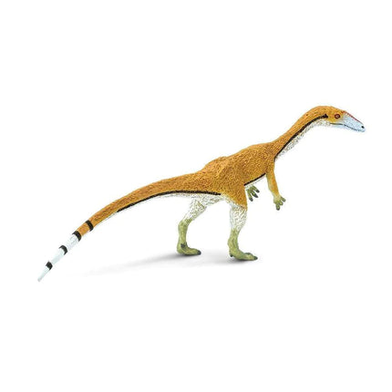 WSD Coelophysis