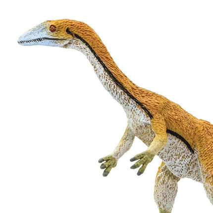 WSD Coelophysis