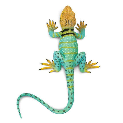 IC Collared Lizard