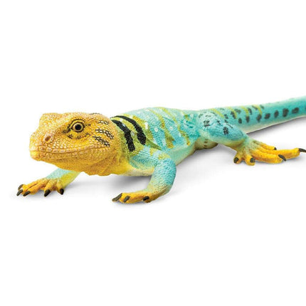 IC Collared Lizard