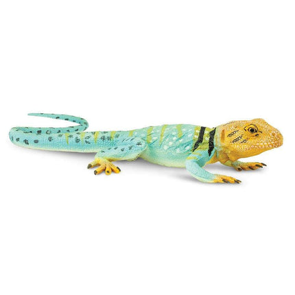 IC Collared Lizard