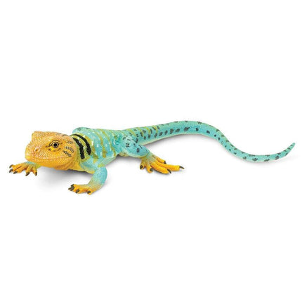 IC Collared Lizard