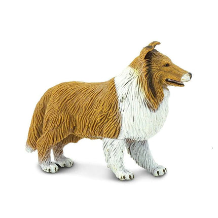 WSP Collie