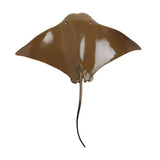 IC Cownose Ray