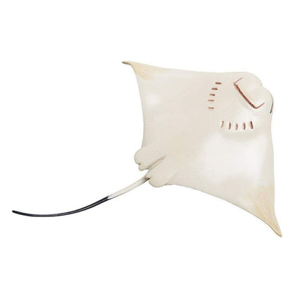 IC Cownose Ray