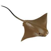 IC Cownose Ray