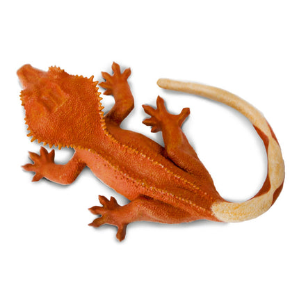 IC Crested Gecko