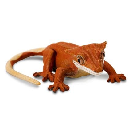 IC Crested Gecko