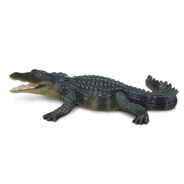 WSW Crocodile