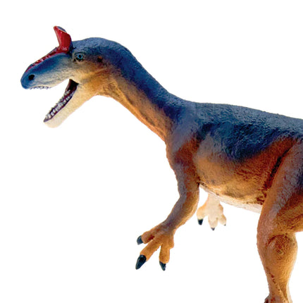 WSD Cryolophosaurus