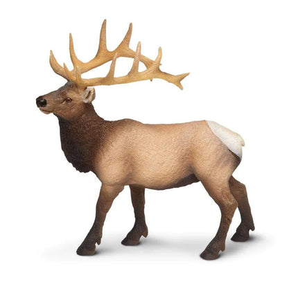 WSW Elk Bull