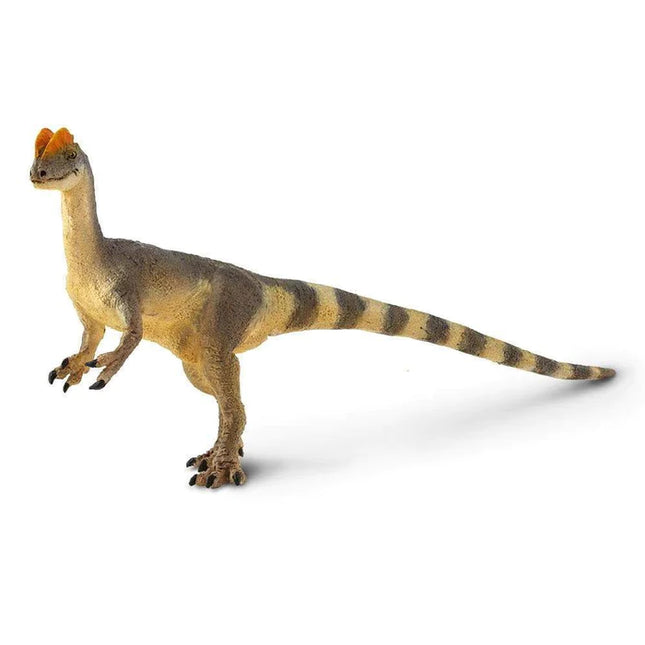 WSD Dilophosaurus