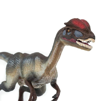 WSD Dilophosaurus x