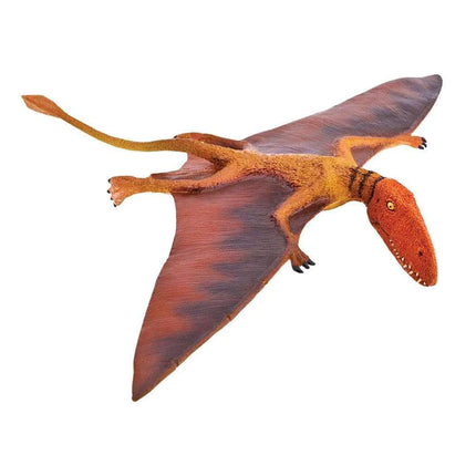 WSD Dimorphodon