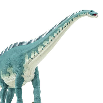 WSD Diplodocus