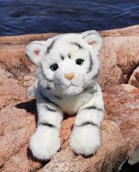 Zahara White Tiger 20"