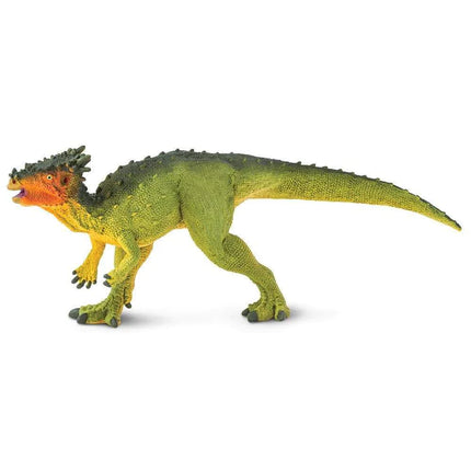 WSD Dracorex