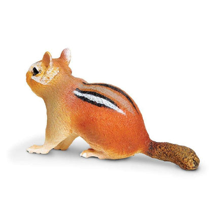 IC Eastern Chipmunk