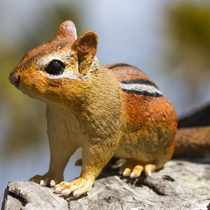 IC Eastern Chipmunk