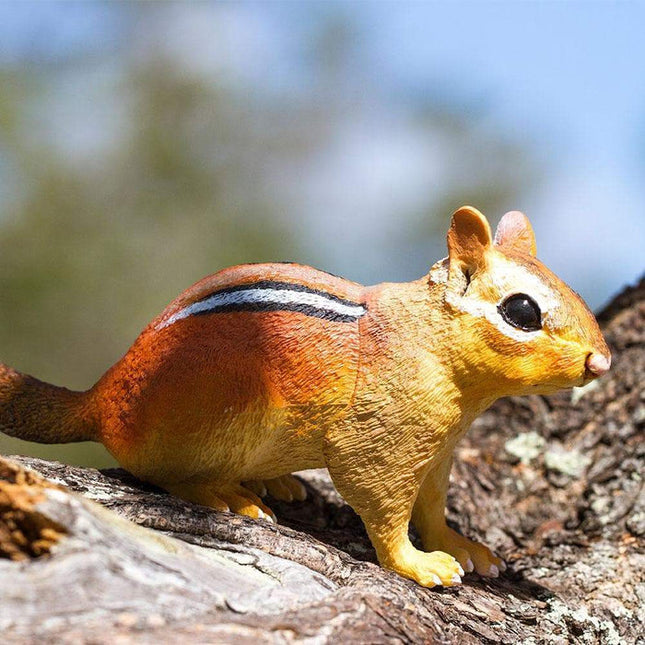 IC Eastern Chipmunk