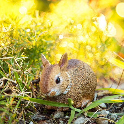 IC Easter Cottontail Rabbit Baby