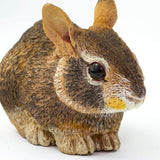 IC Easter Cottontail Rabbit Baby