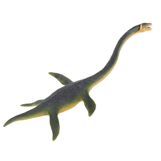 WSD Elasmosaurus