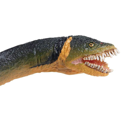 WSD Elasmosaurus