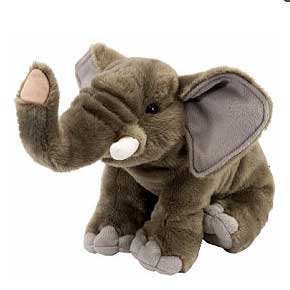 CK African Elephant 12"