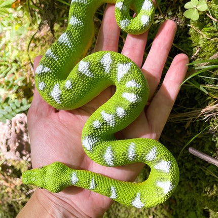 IC Emerald Tree Boa Snake