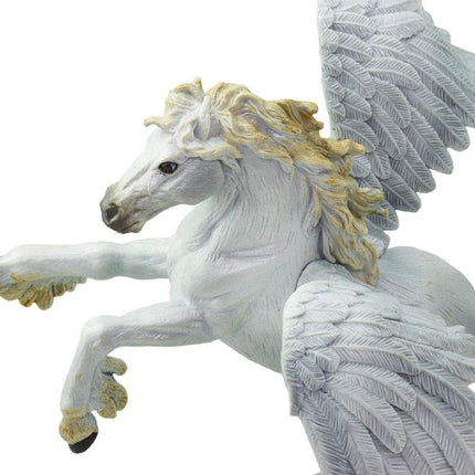 MR Pegasus