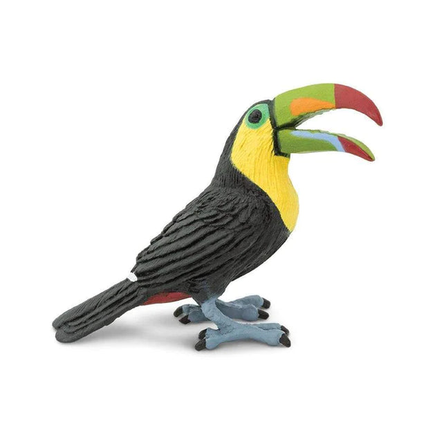 WSB Toucan Bird