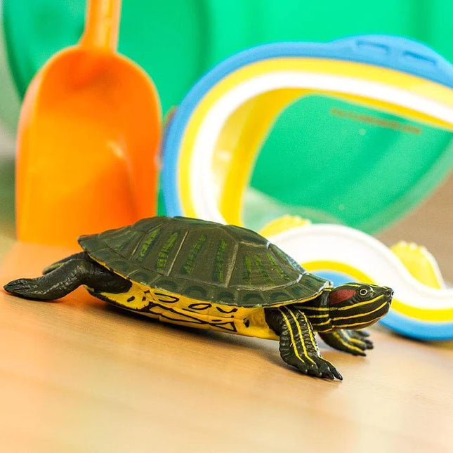 IC Red-Eared Slider Turtle