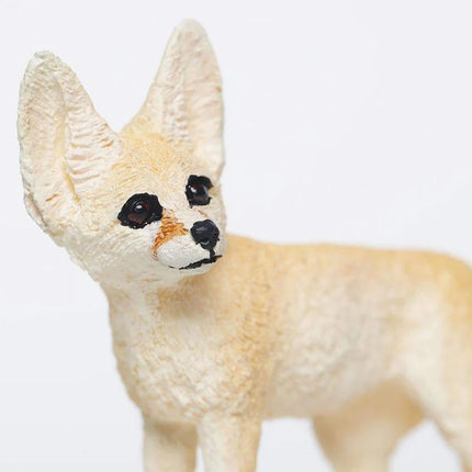 WSW Fennec Fox