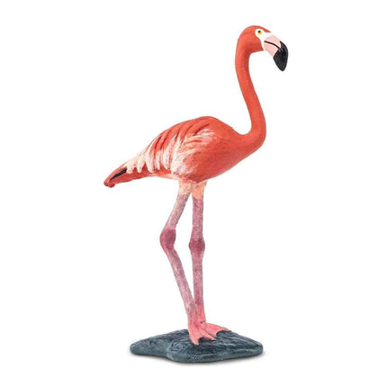 WSB Flamingo II